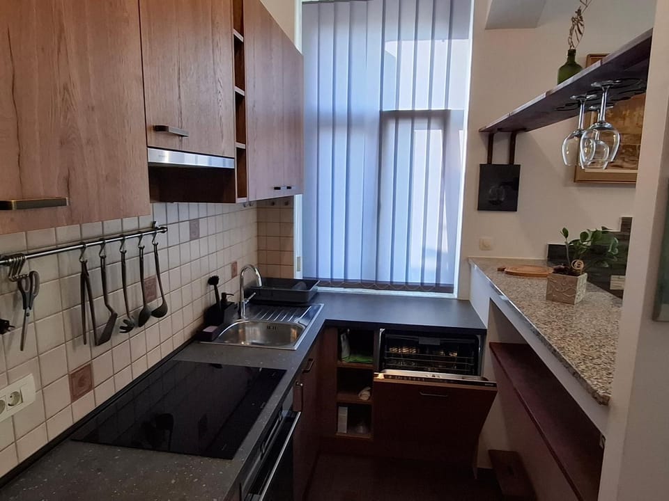 Kitchen or kitchenette, dishwasher, stove