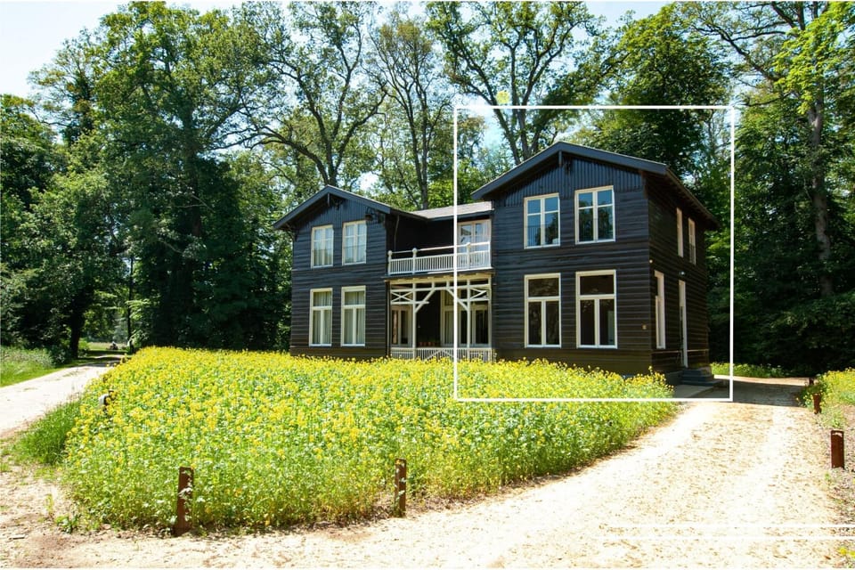 Property building, Spring, Day, Garden