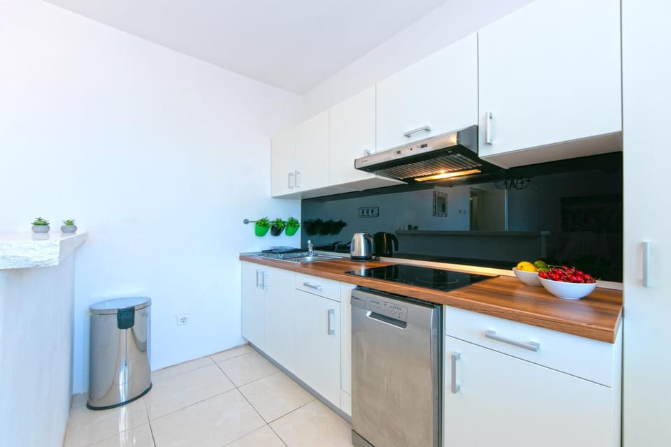 Kitchen or kitchenette, dishwasher, pet friendly, stove