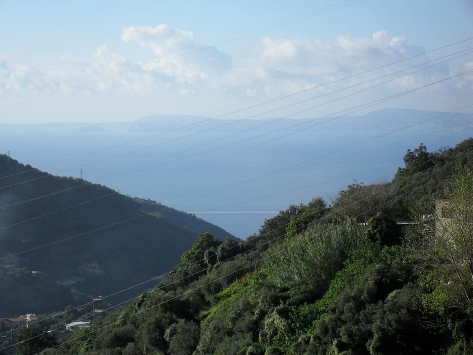 View (from property/room), View (from property/room)