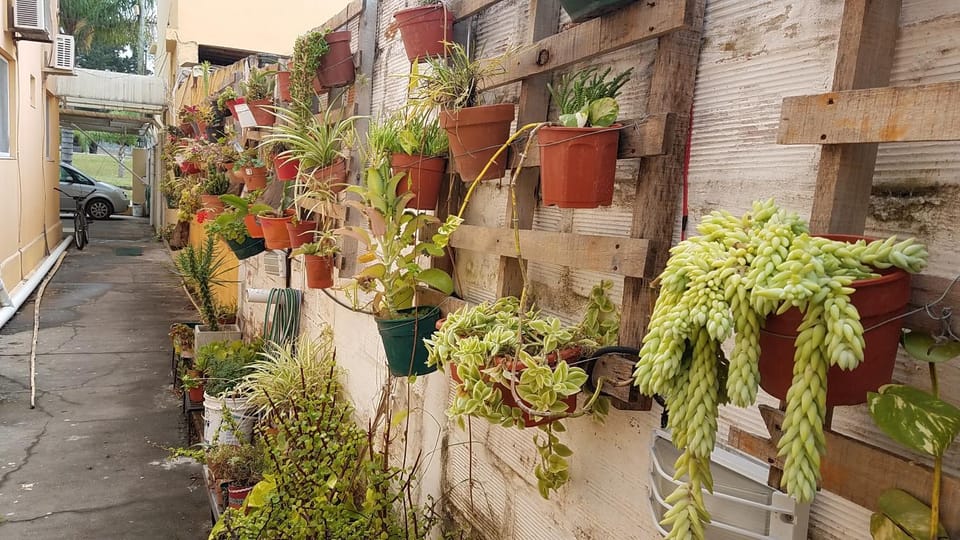 Garden view