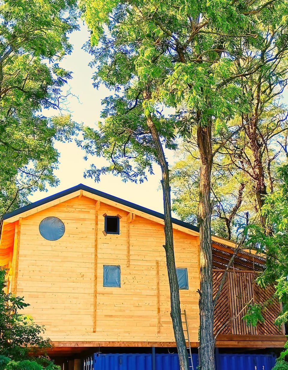 DES BRANCHES & VOUS Bed and Breakfast in Provence