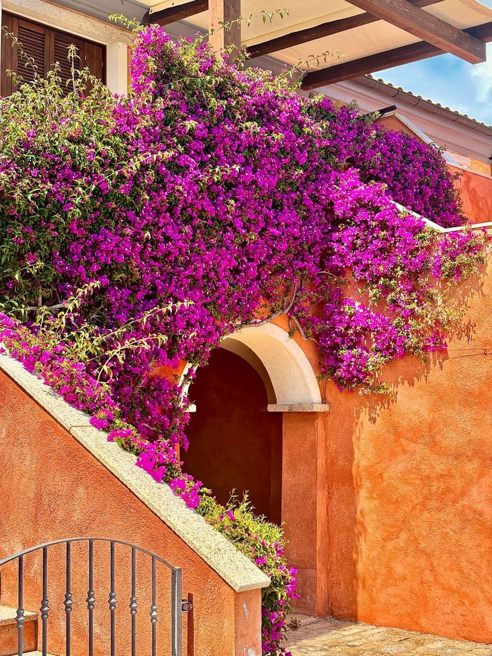 Spring, Day, Garden, Garden, Garden view