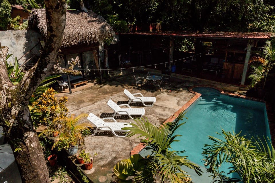 Patio, Day, Garden, Pool view, Swimming pool, sunbed