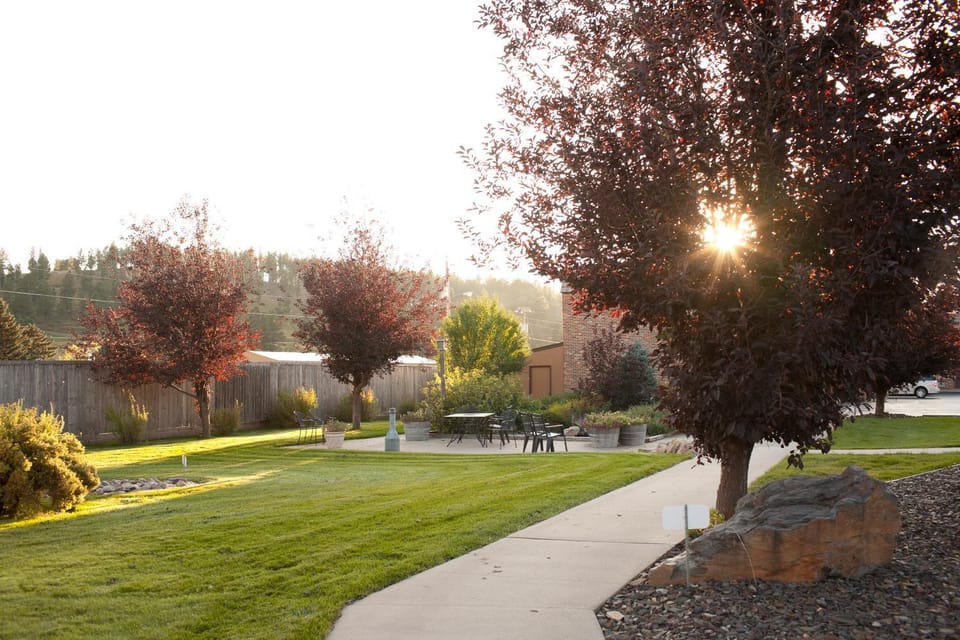 Patio, Garden