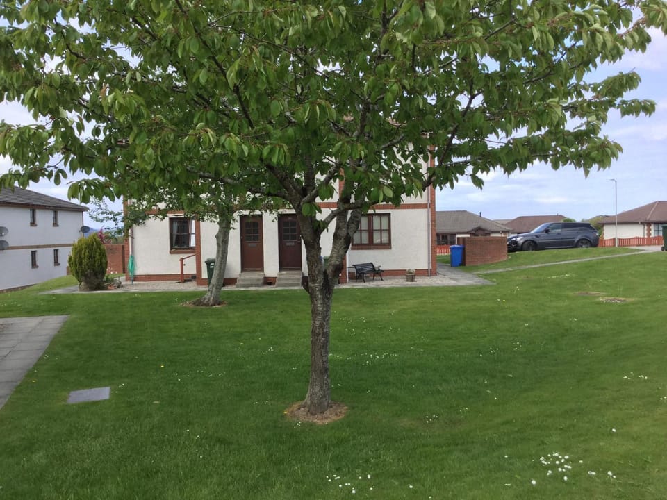 Property building, Other