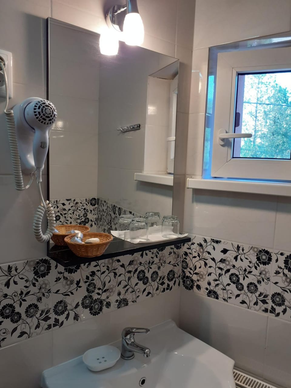 Pensiunea Lion Bed and Breakfast in Sibiu