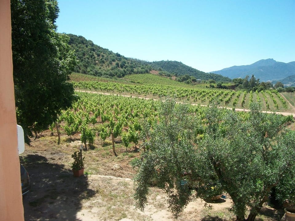 Natural landscape