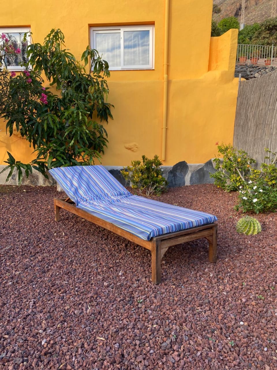 Garden, sunbed