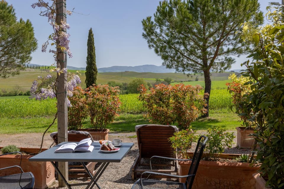 Patio, Mountain view