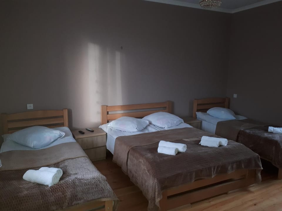 Kazbegian Host Bed and Breakfast in Georgia