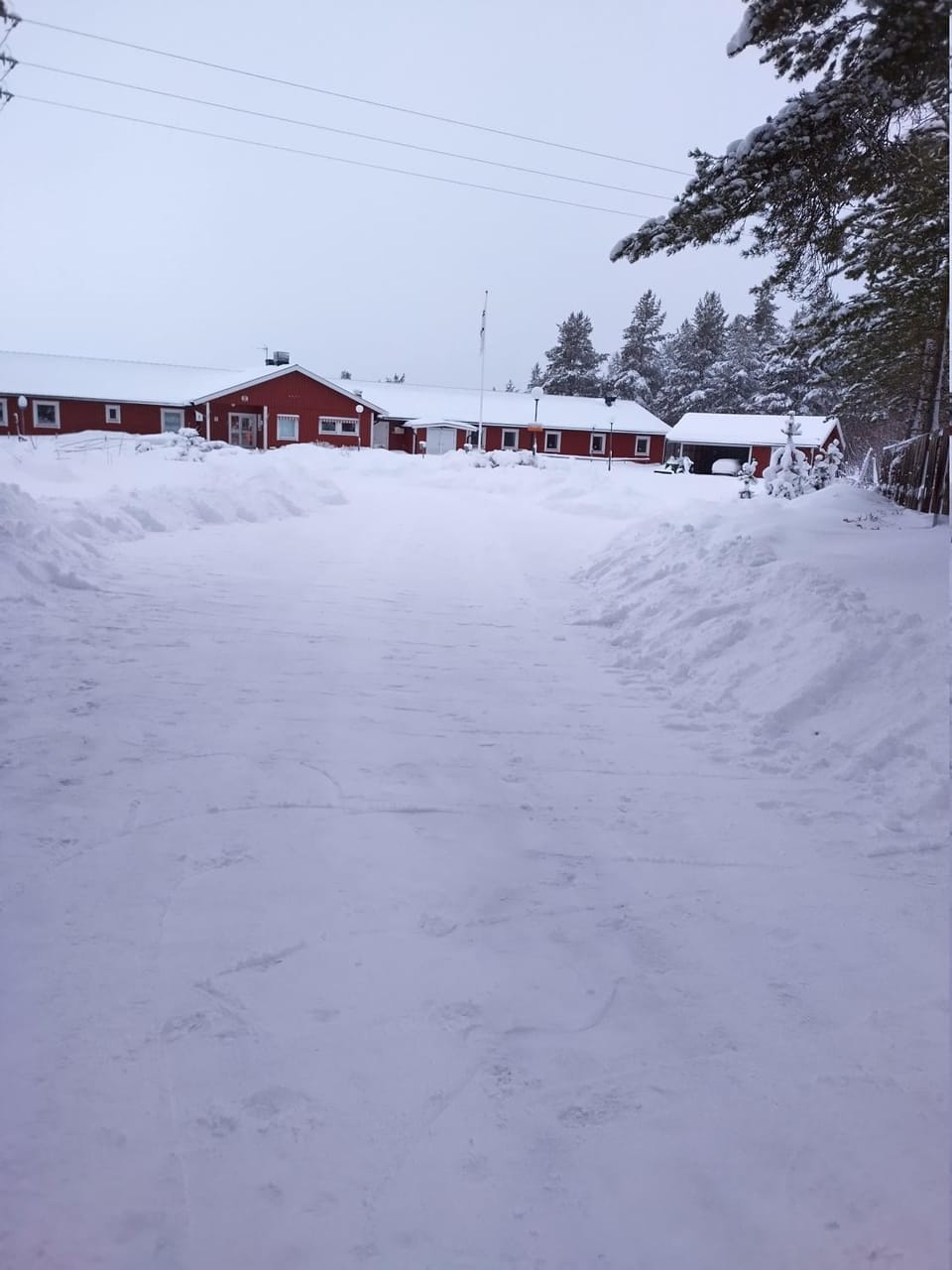 Winter