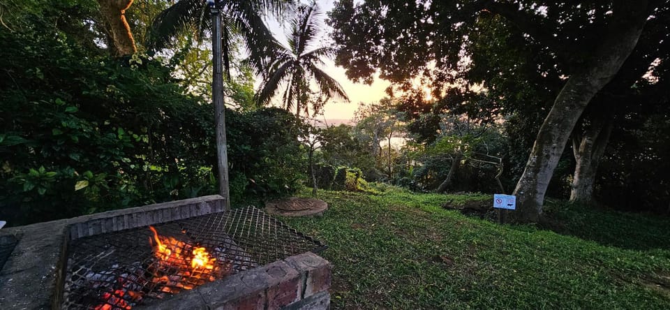 Natural landscape, BBQ facilities, Garden, Balcony/Terrace, Garden view