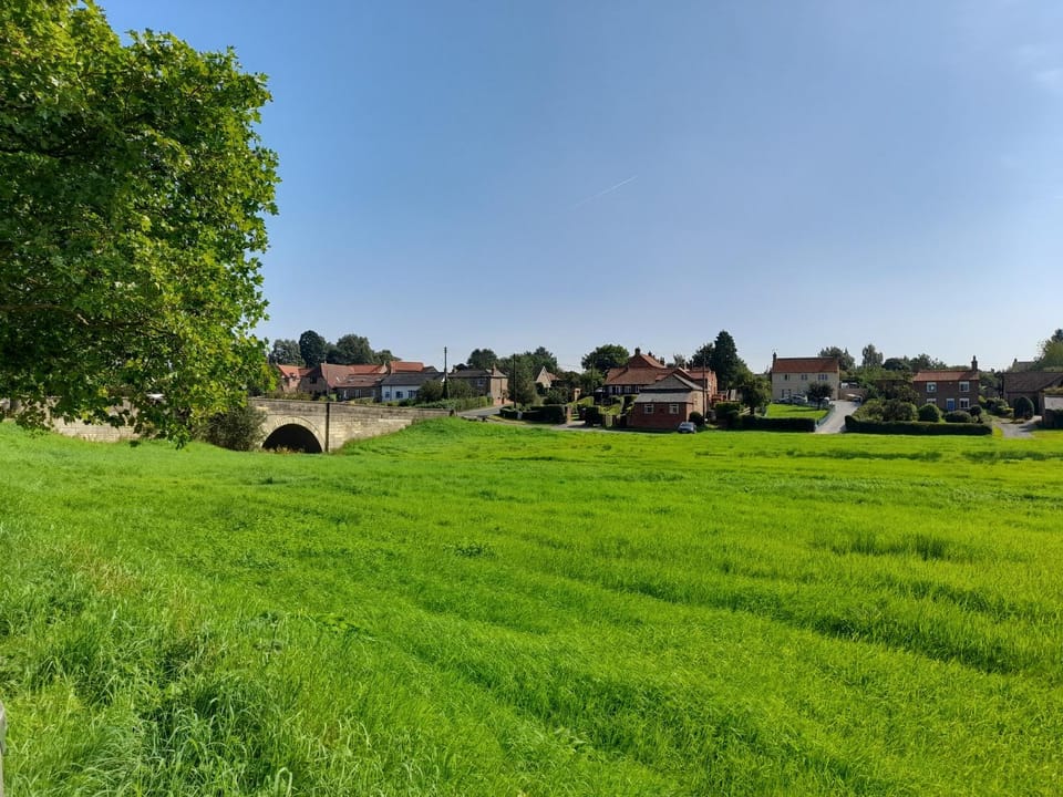 Natural landscape, View (from property/room)