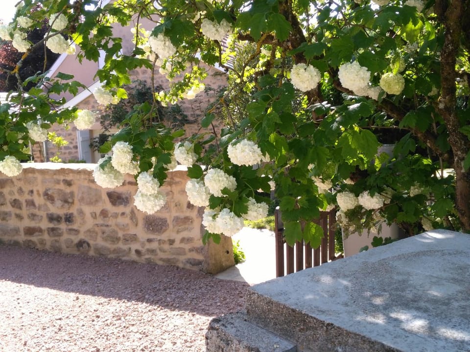 Spring, Garden view, Garden view, Inner courtyard view