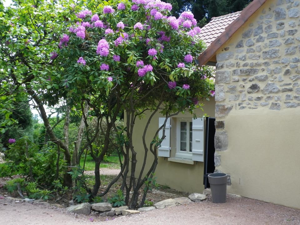 Facade/entrance, Garden, Garden, Garden view, Garden view