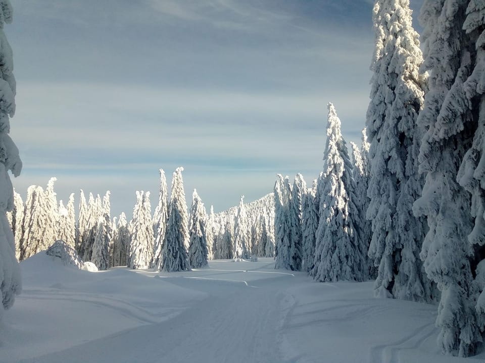 Winter, Hiking
