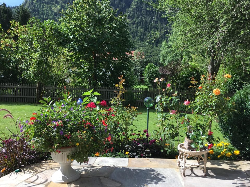 Garden view