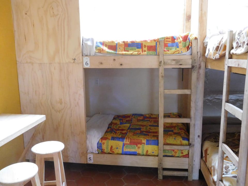 Bed, Photo of the whole room, Bedroom, bunk bed