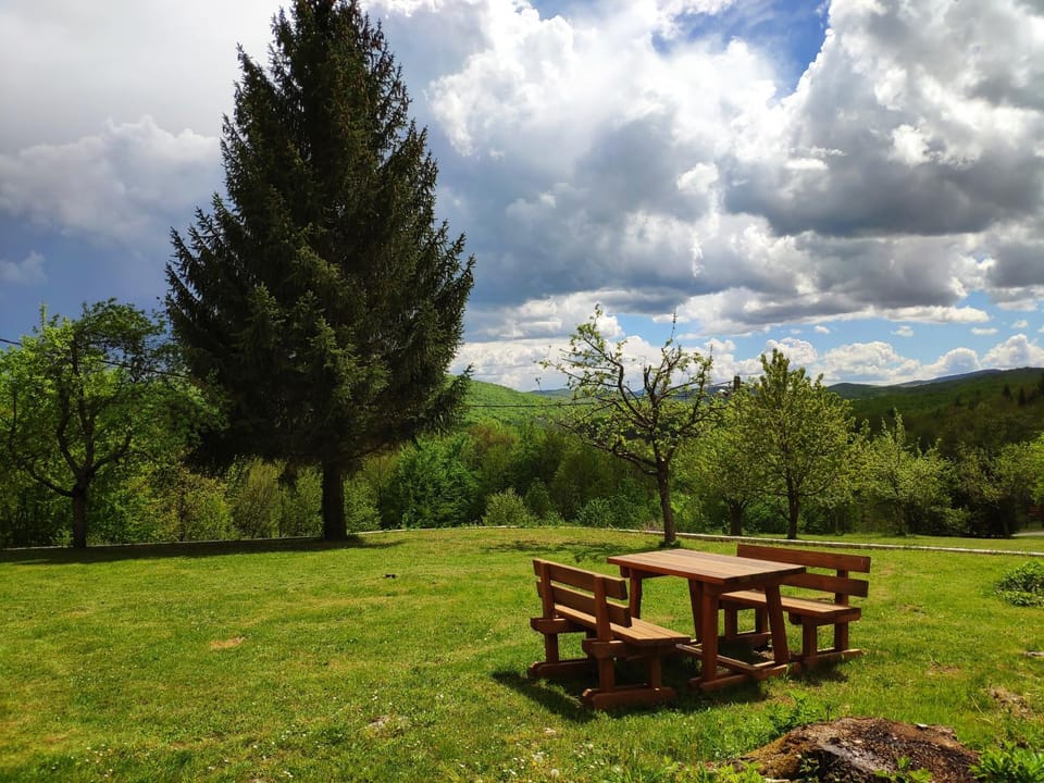 Garden, Garden view, Mountain view