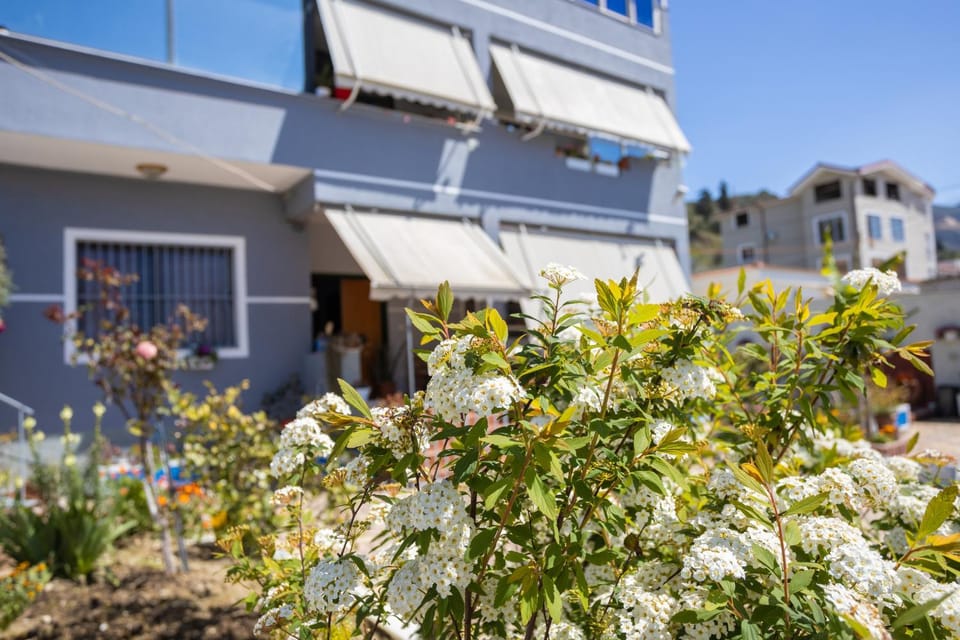 Vila AULONA House in Vlorë