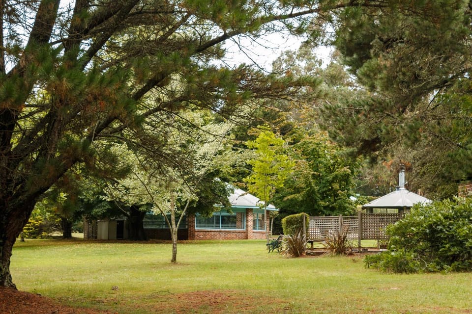 Day, Garden