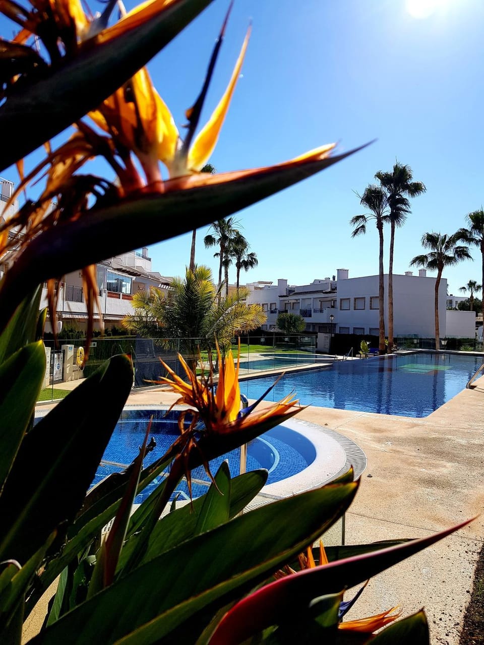 Garden view