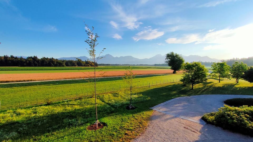 Natural landscape