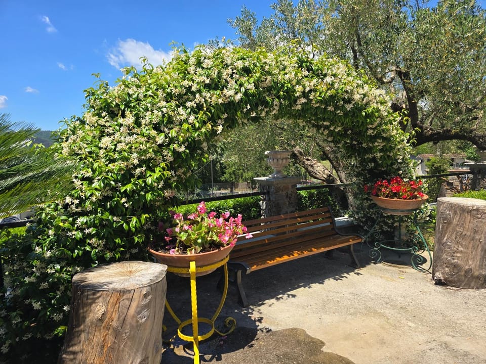 Bulgheriabeb Bed and Breakfast in Basilicata