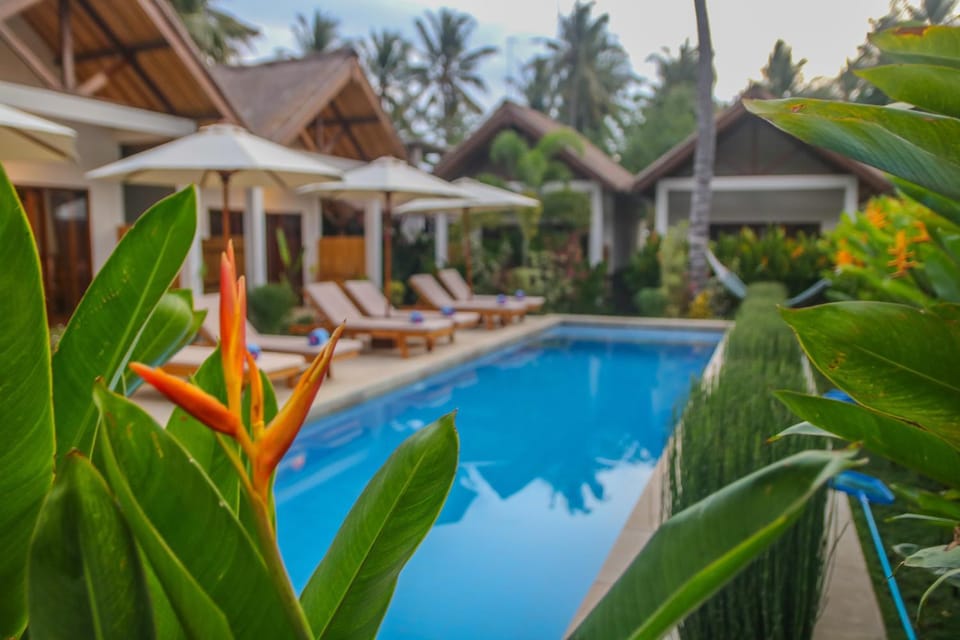 Pool view