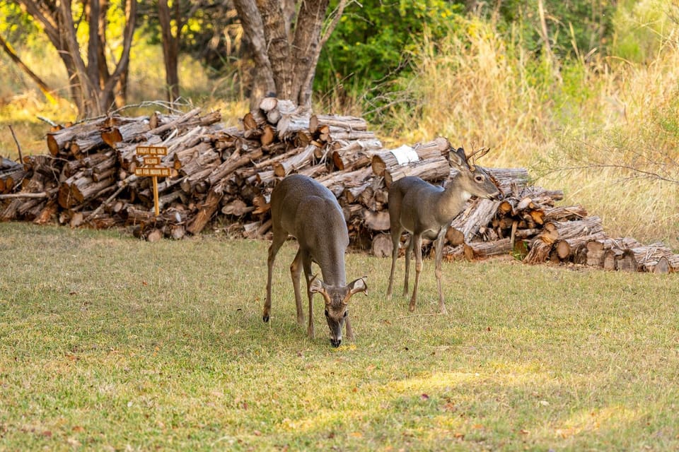 Day, Natural landscape, Garden, Animals
