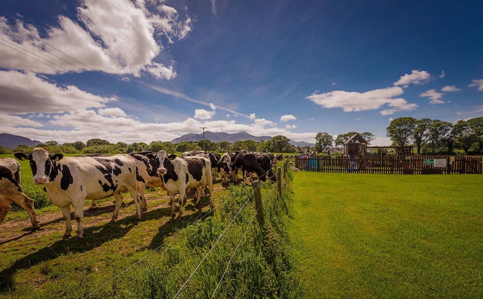 Property building, Children play ground