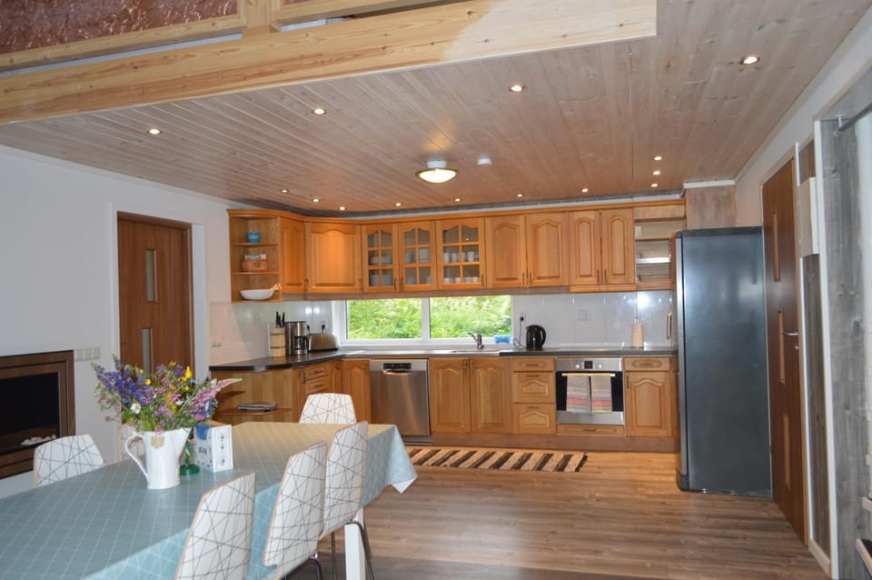 Kitchen or kitchenette, Dining area, dishwasher, oven, stove