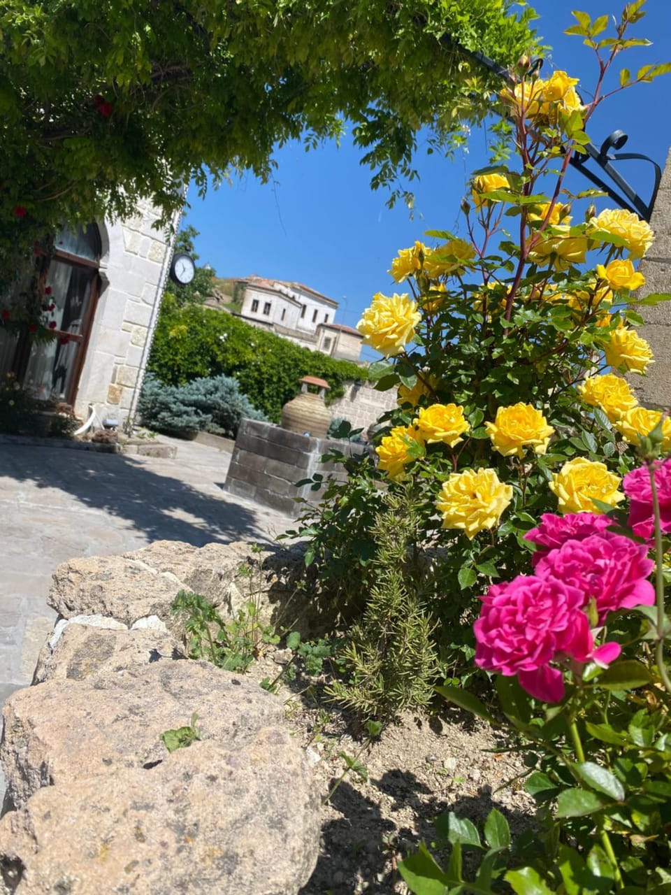 Garden view