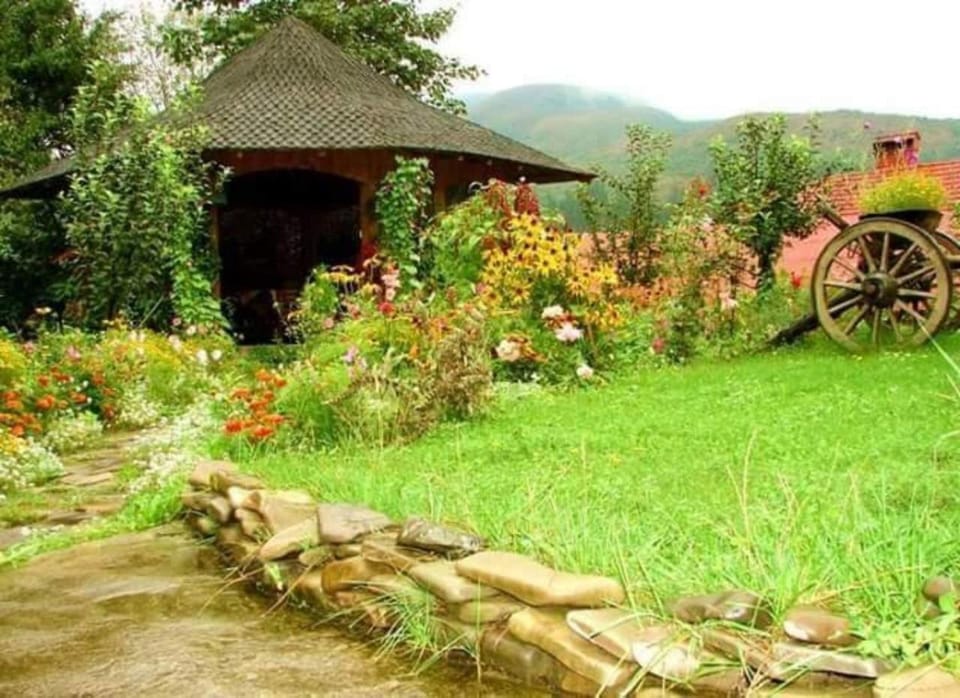Natural landscape, Summer, Other, Garden view, Mountain view