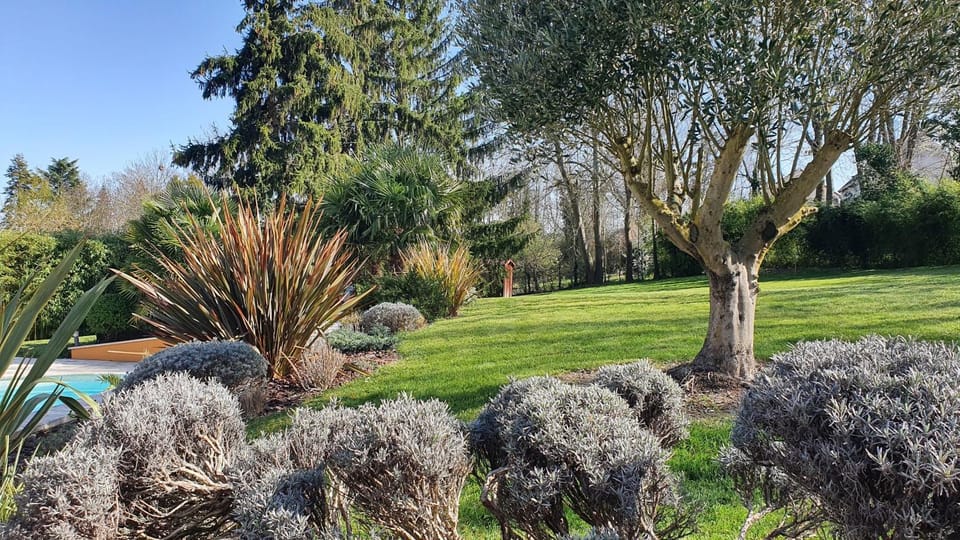 Garden, Garden view