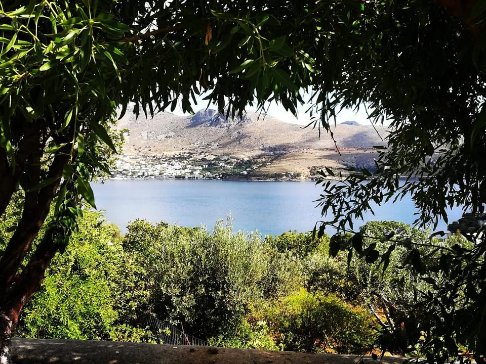 Garden, Sea view