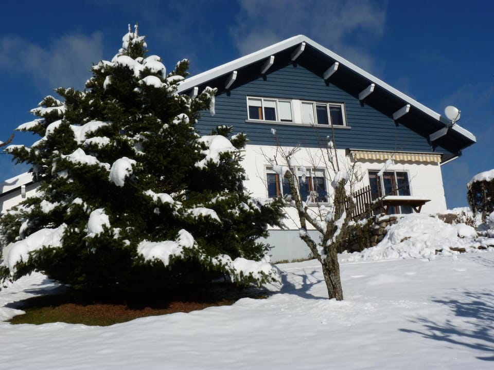 Winter, Garden view