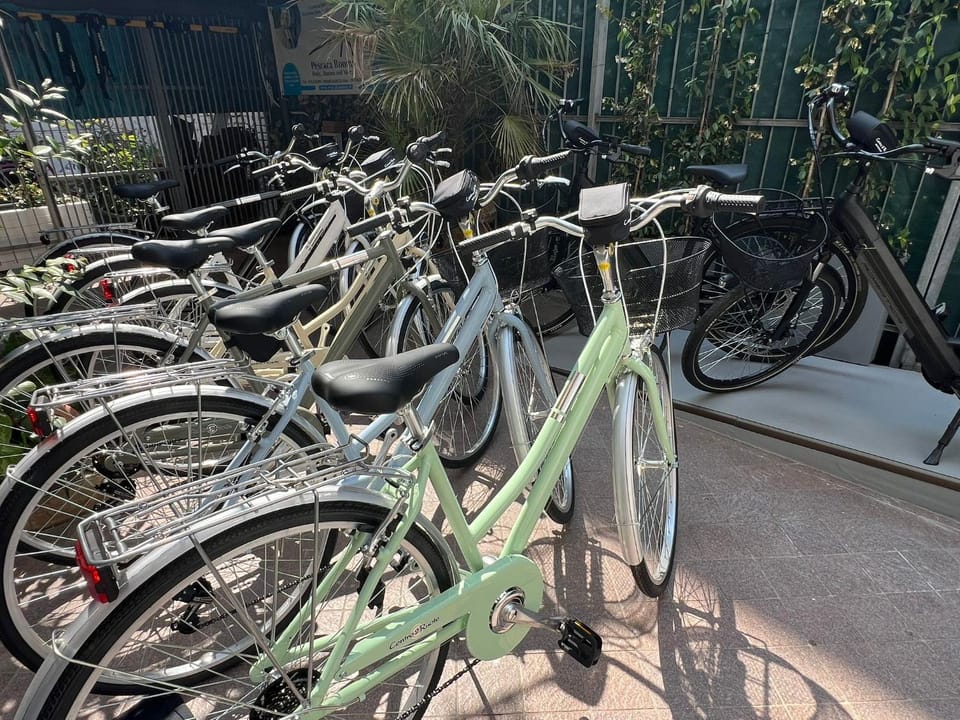 Day, Cycling
