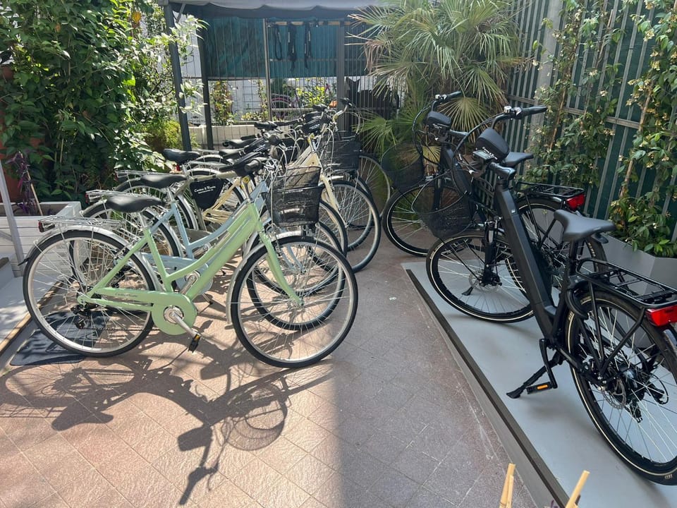 Day, Cycling
