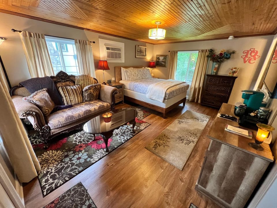Bed, Living room, Photo of the whole room, Seating area