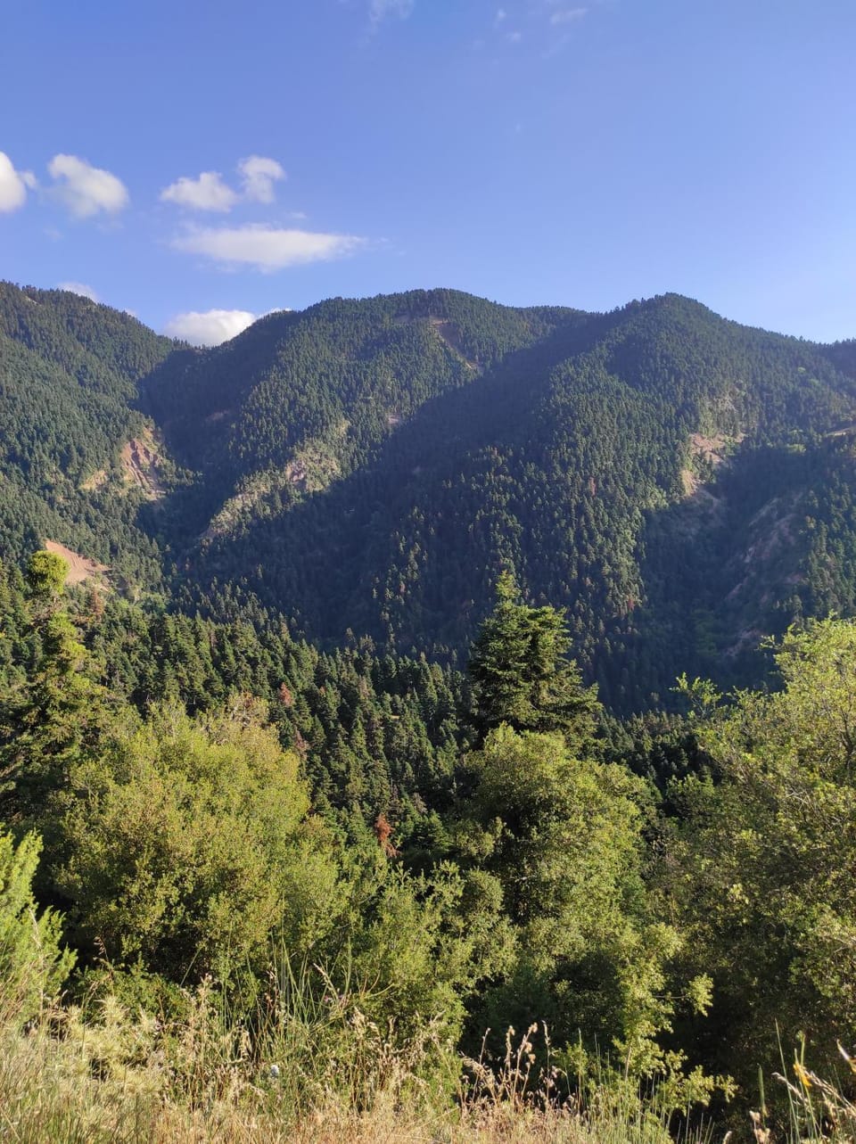 Chrysandra Apartment in Peloponnese, Western Greece and the Ionian