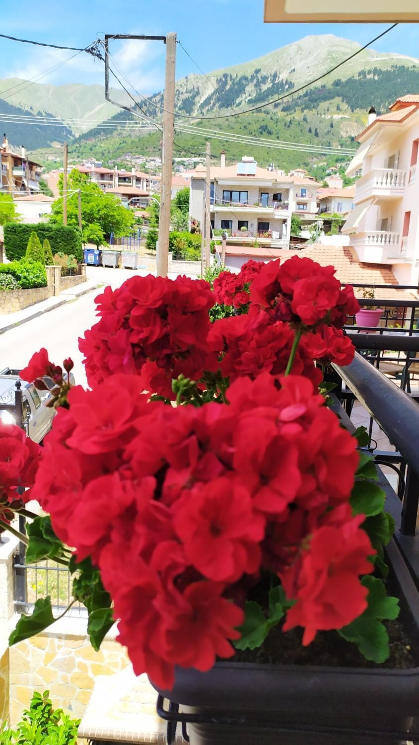 Chrysandra Apartment in Peloponnese, Western Greece and the Ionian