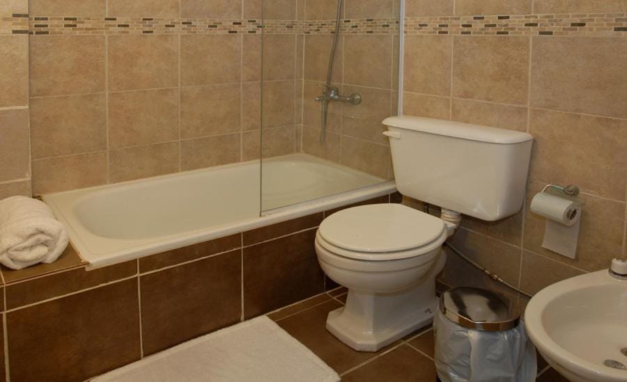 Shower, Toilet, Bathroom, Bedroom, Bath, bidet, towels