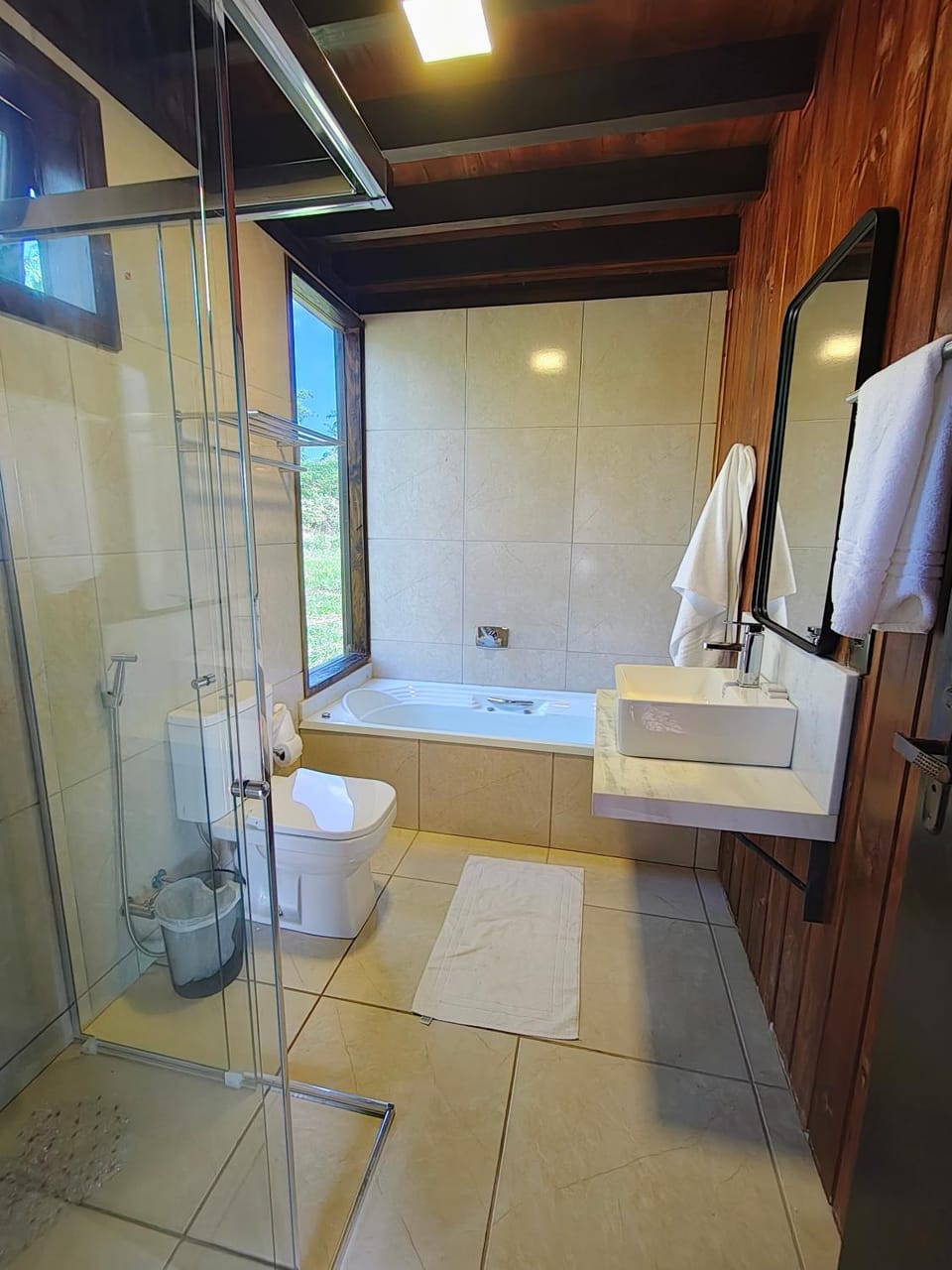 Shower, Toilet, Bathroom, Bath, towels