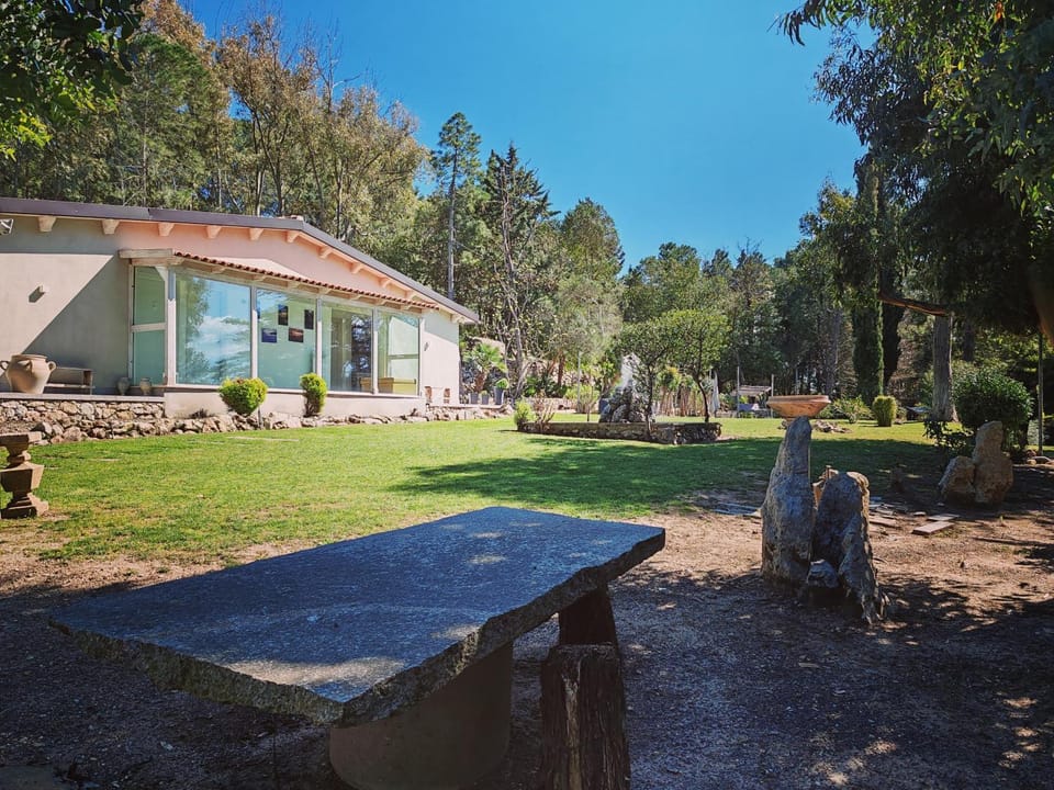 Spring, Garden, Garden view