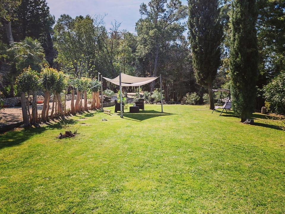 Garden, Garden view