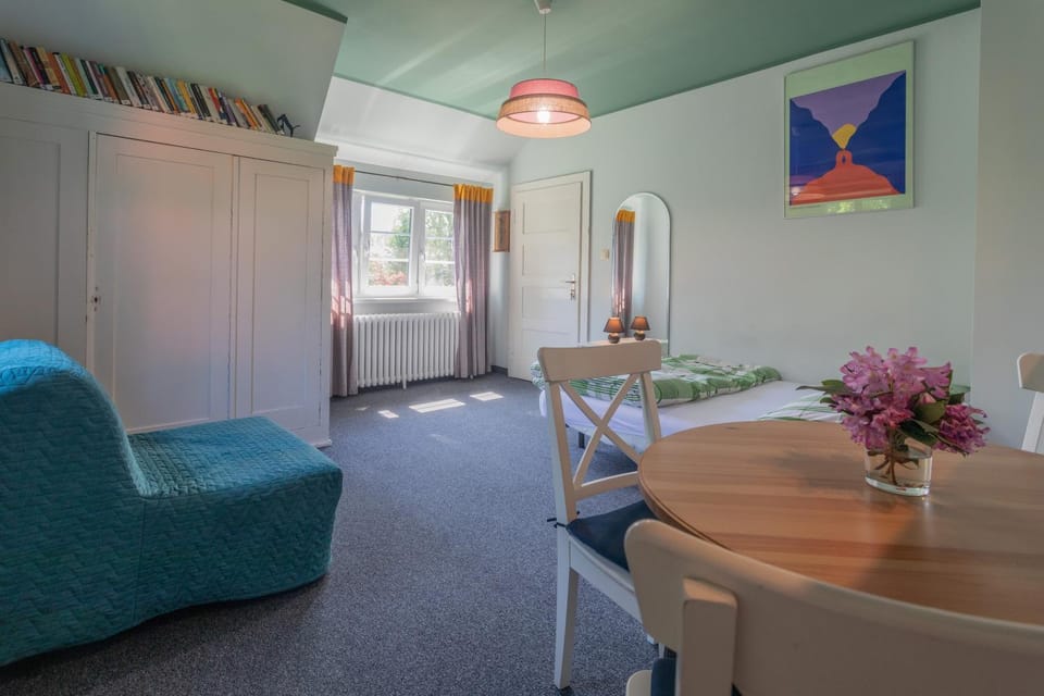 Kitchen or kitchenette, Garden view, hair dryier, stove