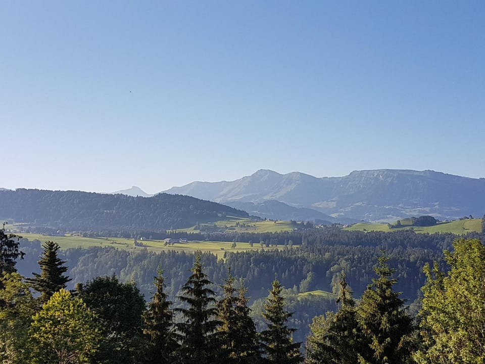 Mountain view