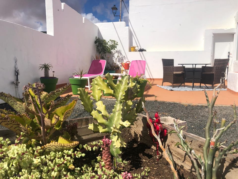 Patio, Garden